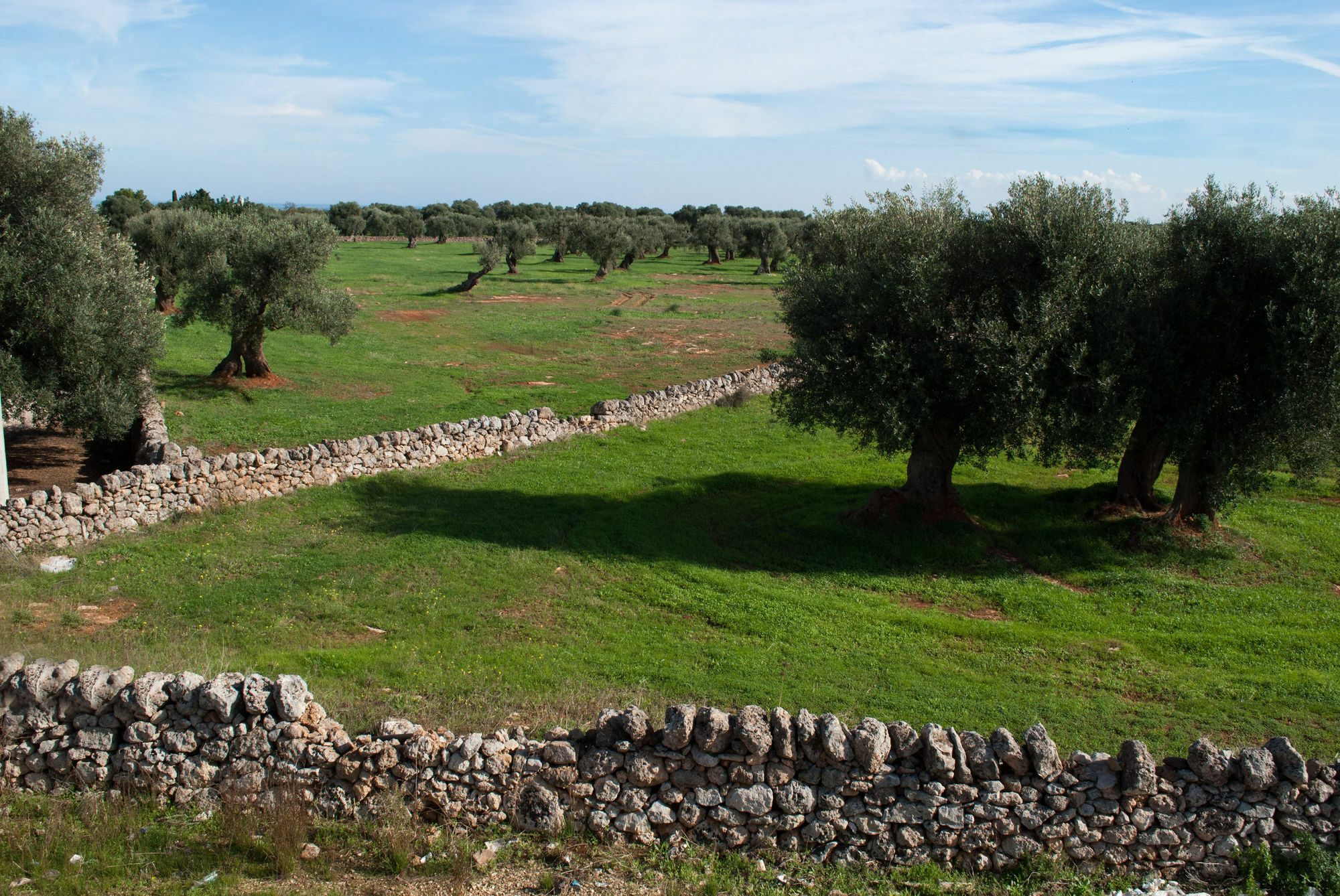 Masseria Lama D'Impisa Fasano Exteriér fotografie